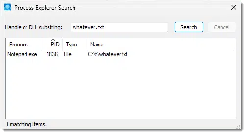 Process Explorer search results.