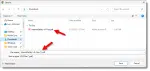 Duplicate Downloads