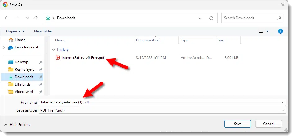 Duplicate Downloads