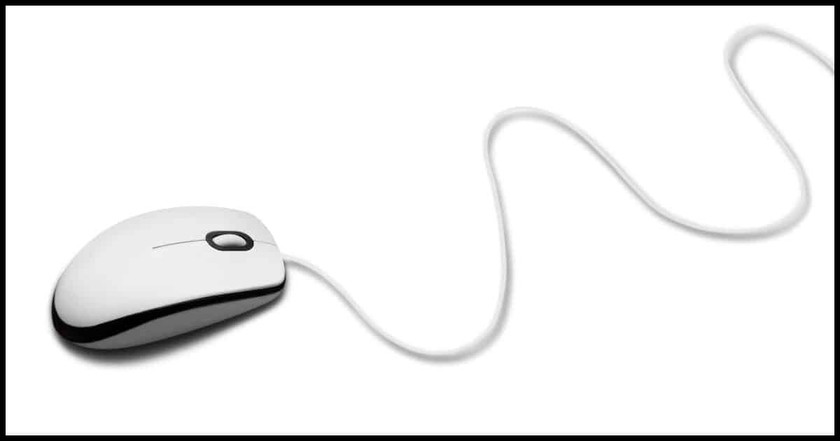 A Computer Mouse