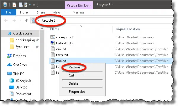 Recycle Bin & Restore