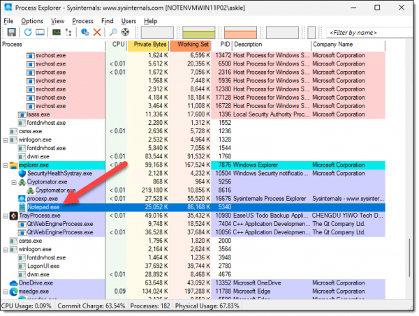 Process Explorer highlighting Notepad.exe.