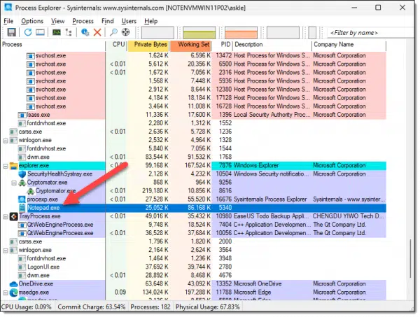 Process Explorer highlighting Notepad.exe.