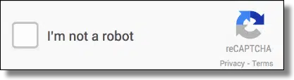 recaptcha1