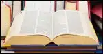 One kind of dictionary.