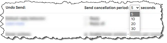 Undo Send option.