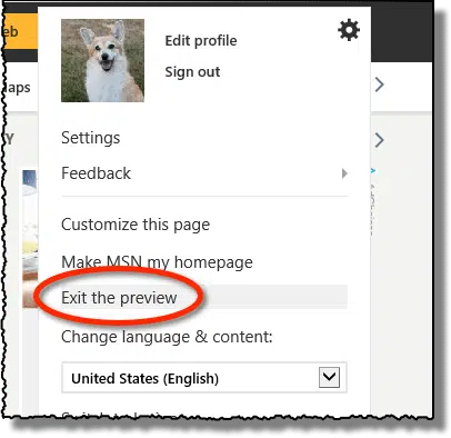 Exit Preview Option