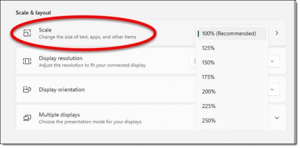 Windows 11 Scale setting.