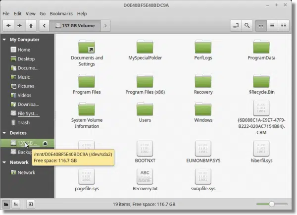 Windows drive in Linux Mint