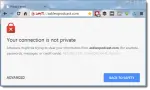 Certificate Error in Chrome