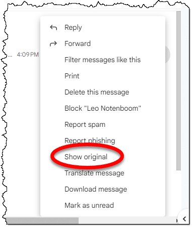 Show original option in Gmail.