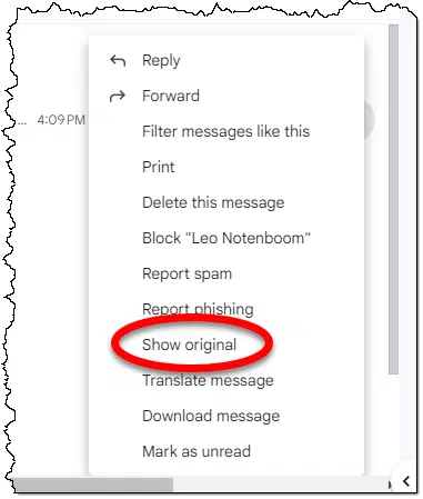 Show original option in Gmail.