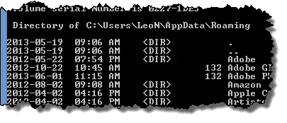 AppData\Roaming