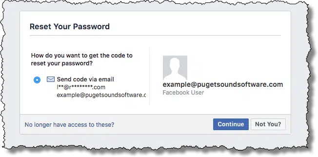 Facebook reset your password
