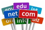 Top Level Domains (TLDs)