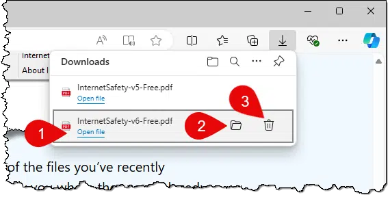 The browser's download list.