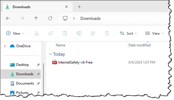 PDF file in the Downloads folder.