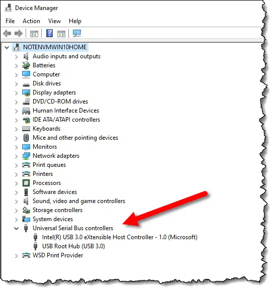 USB Controllers in Device Manager