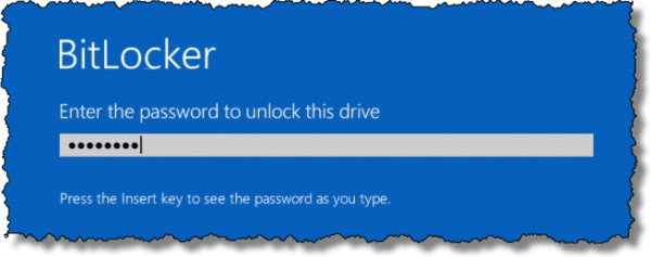 Bitlocker Enter Password