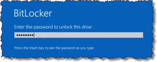 Bitlocker Enter Password