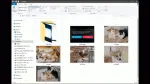 File Explorer Views