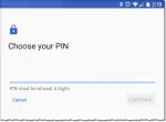 Choose Your Pin
