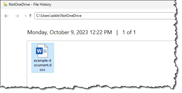 NotOneDrive folder in File History.