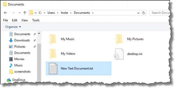Contents of backed up Documents folder
