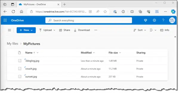 Three photos at OneDrive.com.