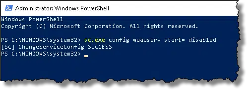 SC Service Startup Disable