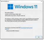 Windows 11 Version