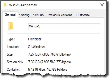 WinSxS size