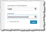 Password field example