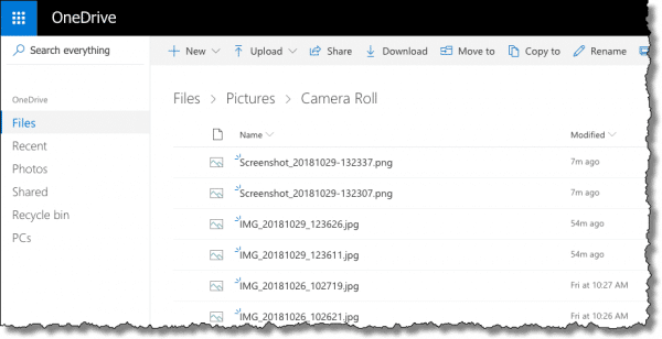 OneDrive Camera Roll online