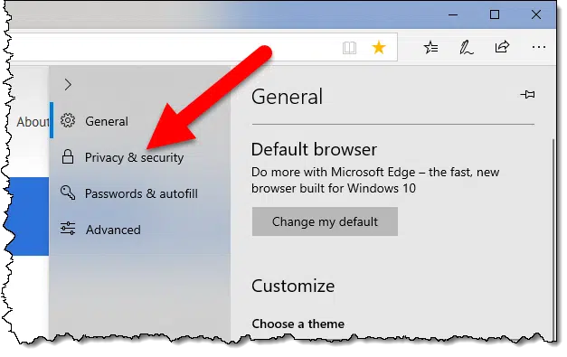 Privacy & Security option in Microsoft Edge
