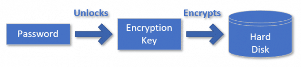 Your password unlocks the key, which unlocks the data