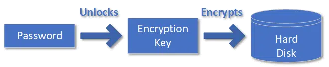 Password unlocks encryption key which unlocks data.