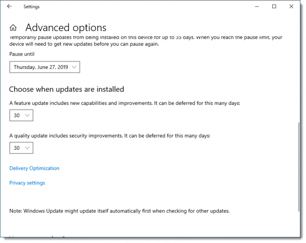 Pausing or Delaying Windows Updates