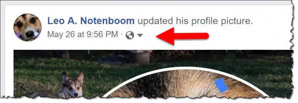 Globe icon indicating a public post on Facebook