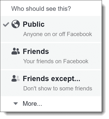 facebook public icon