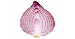 An onion