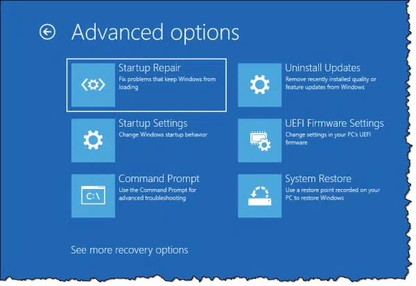 Advanced Options.