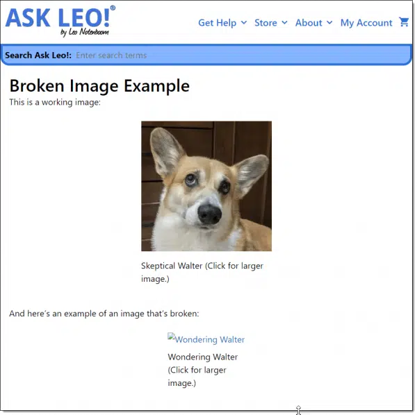 Ask Leo! Page with an example broken image.