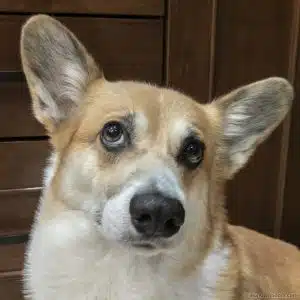 Walter