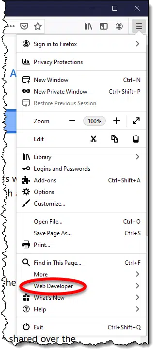 Web developer on the Firefox menu