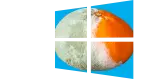 Moldy Orange