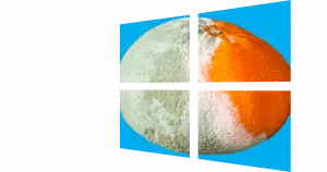 Moldy Orange