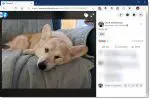 A picture displayed on Facebook