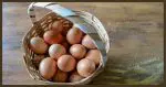 All Your Eggs in One Basket?