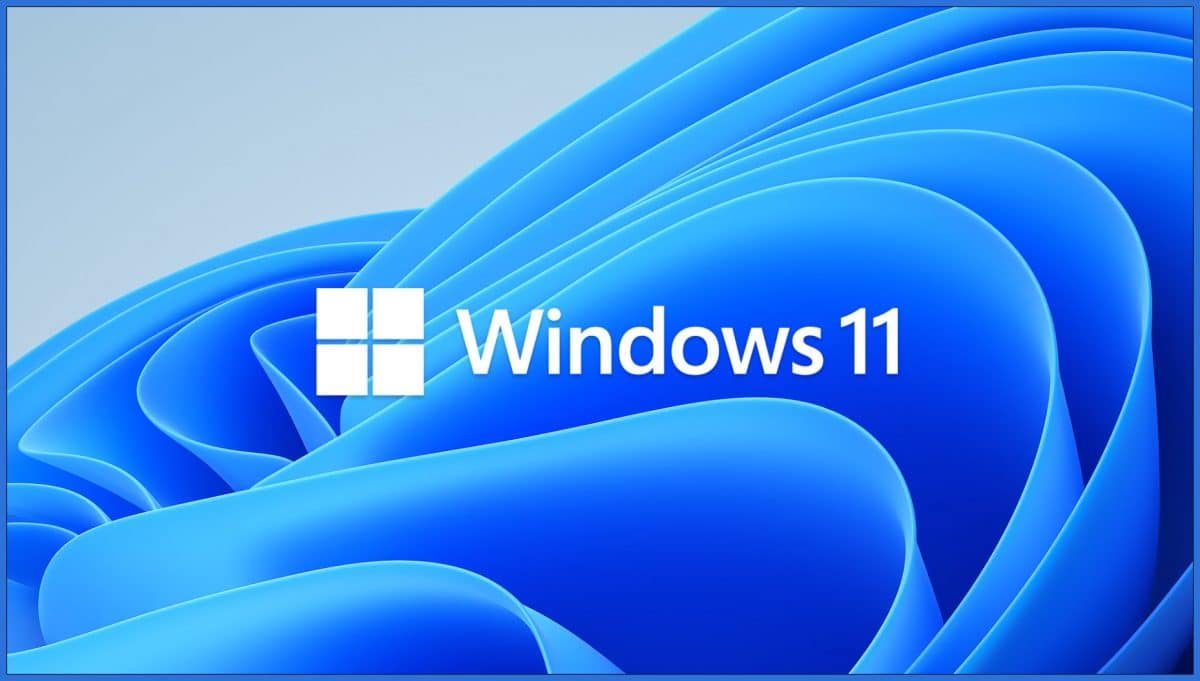 Windows 11